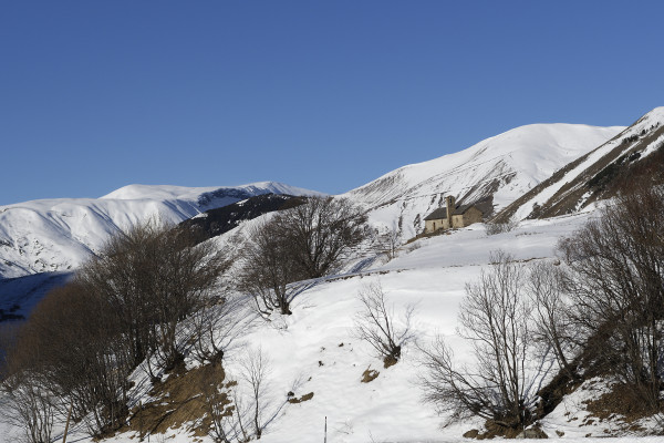 La photo de Gérard