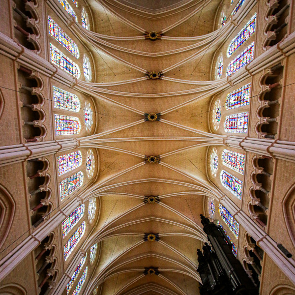 Cathédrale de Chartres - Dominique