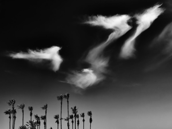 Régional 2025 - IP Monochrome
