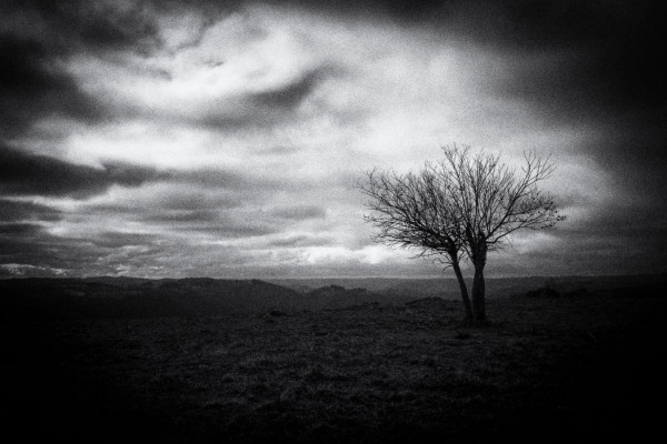 Régional 2025 - IP Monochrome