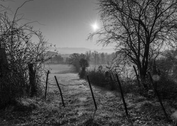 Régional 2025 - IP Monochrome