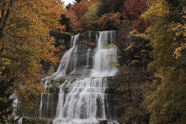 L'Eventail - Lionel C.