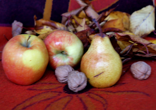 Défi d'Annick - Automne