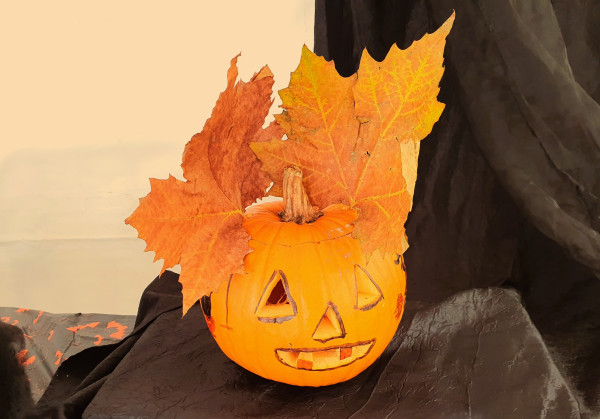 Halloween - daniel F.