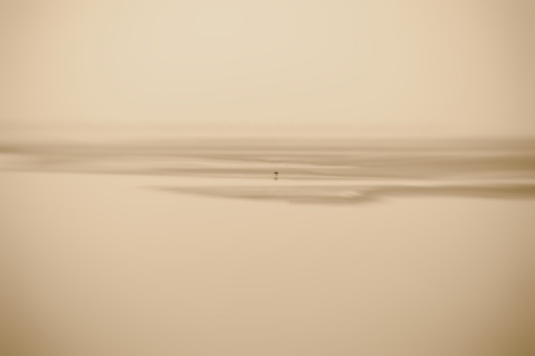 Défi d'Annick n°31 - Minimalisme