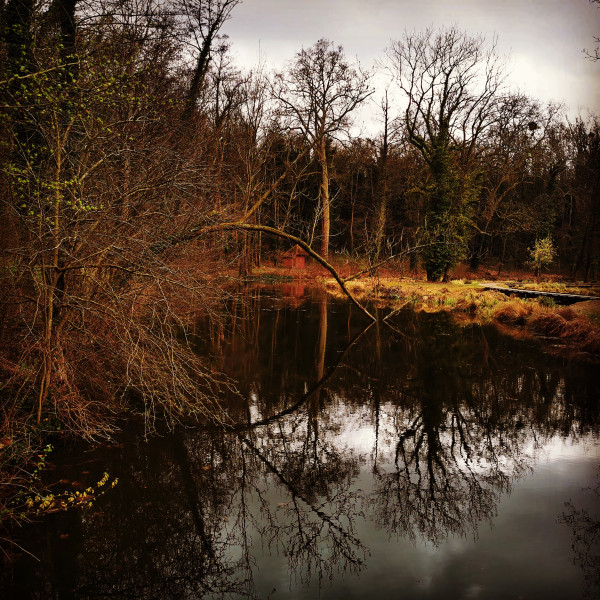 Magie d'automne - Nelly R.