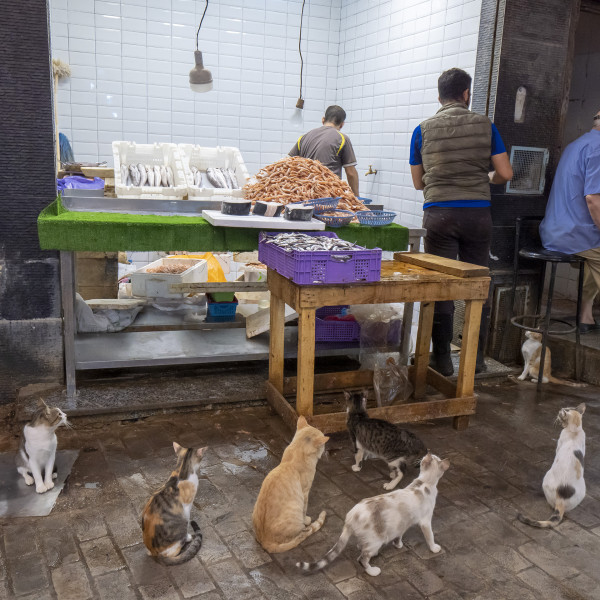 Défi d'Anncik : Sourire