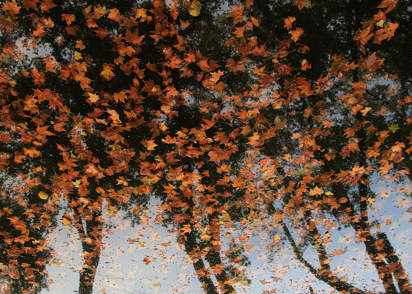 Retrouvailles - Valérie A.