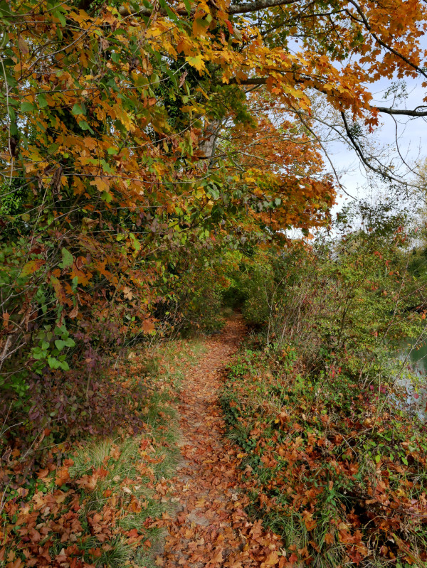 Défi d'Annick - Automne