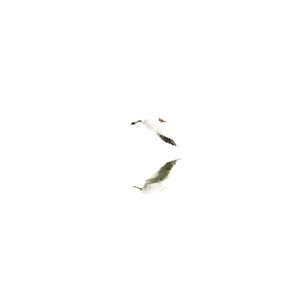 Défi d'Annick n°31 - Minimalisme