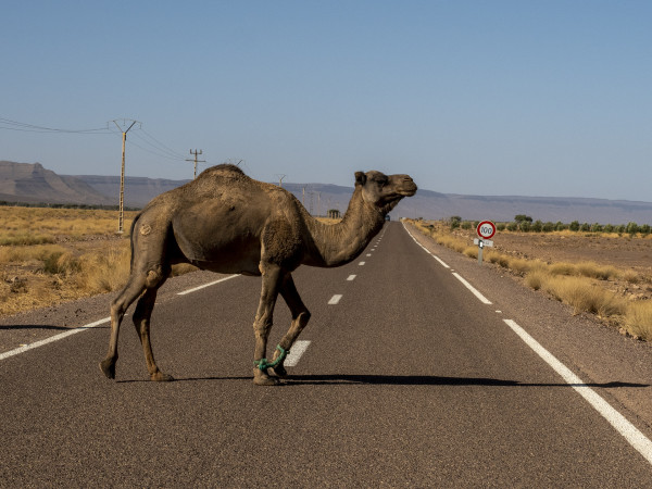 Défi d'Anncik : Sourire