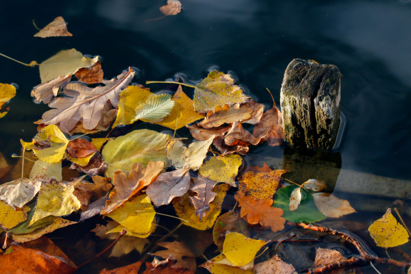 Sur l'eau - Annick B.